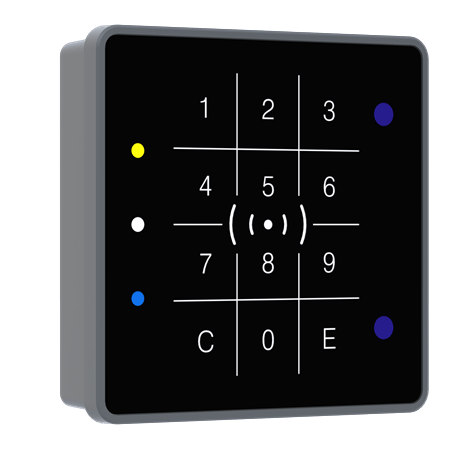 Zutrittsleser Datafox Evo Interna II